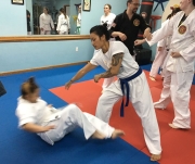 Villaris-adult-martial-arts-2